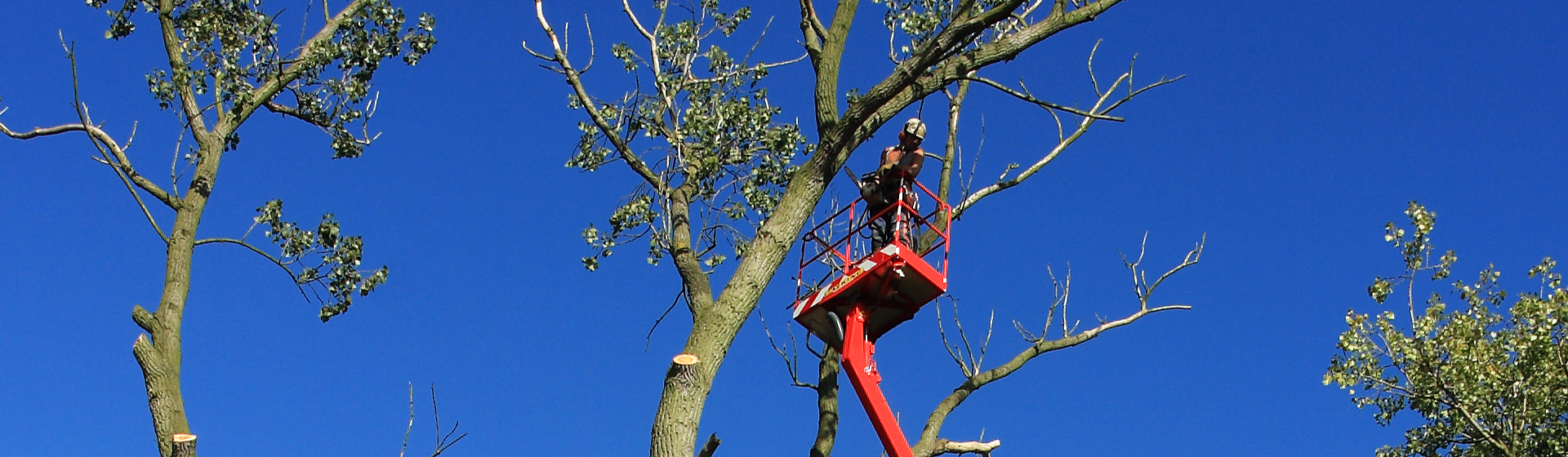 Green maintenance