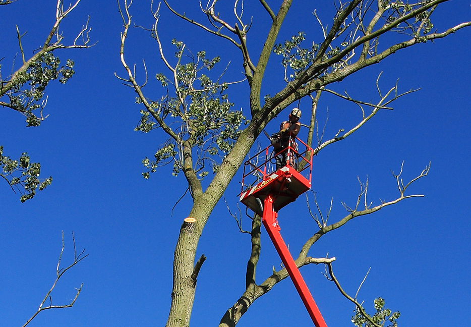 Piattaforme manutenzione verde